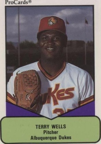 1990 ProCards AAA Future Stars - Terry Wells #67