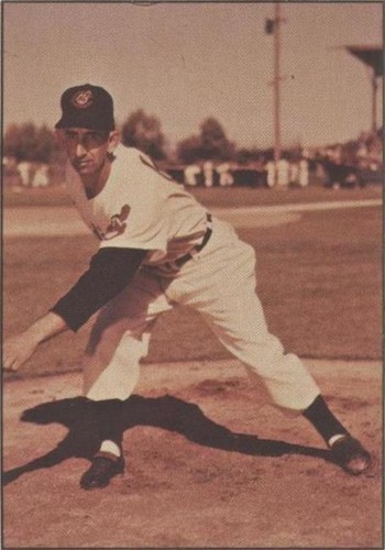 1979 TCMA Baseball History Series the 1950's - Don Mossi #215