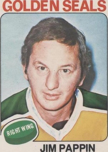 1975-76 O-Pee-Chee - Jim Pappin #234