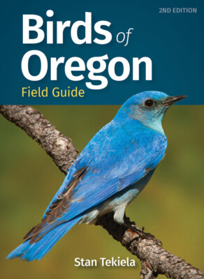 Birds Of Oregon Field Guide
