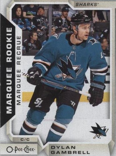 2018-19 O-Pee-Chee - Dylan Gambrell #522