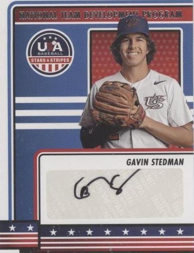 2023 Panini USA Baseball Stars & Stripes - Gavin Stedman #NTDP-GS