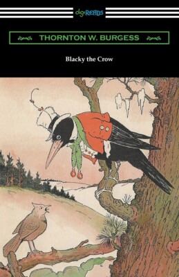 Blacky The Crow