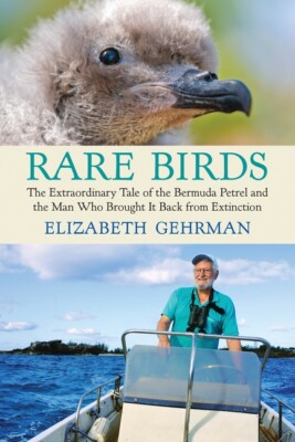 Rare Birds: The Extraordinary Tale Of The Bermuda Petrel And The Man Who Br...