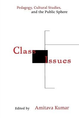 Class Issues: Pedagogy, Cultural Studies, And The Public Sphere