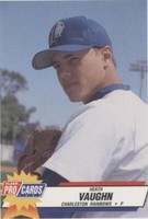 1993 Fleer ProCards Minor League - Heath Vaughn #1911