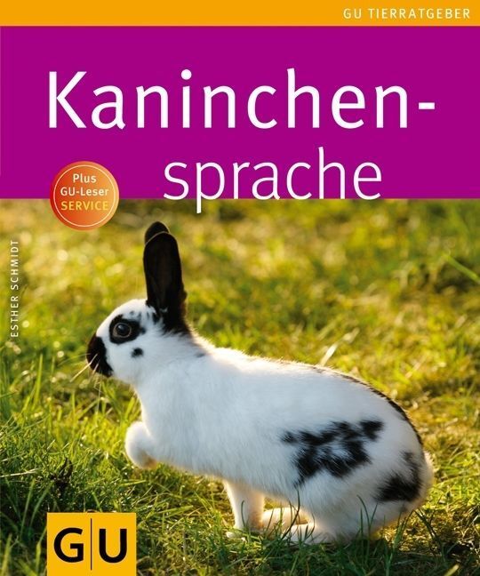 Standardbild