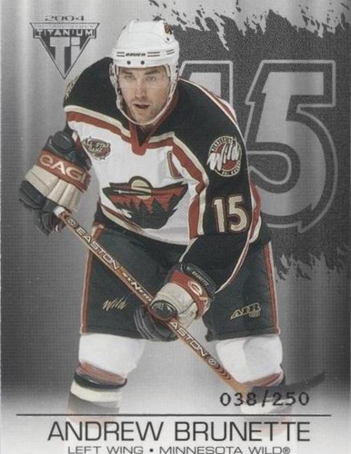 2003-04 Pacific Private Stock Titanium - Andrew Brunette #49