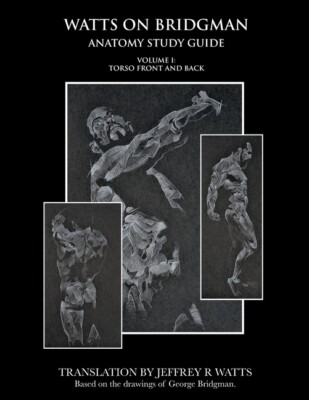 Watts On Bridgman: Torso Front And Back