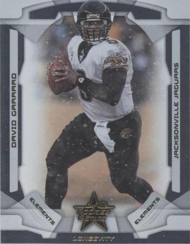 2008 Leaf Rookies & Stars Longevity David Garrard #109