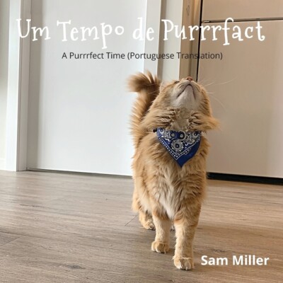 Um Tempo De Purrrfact