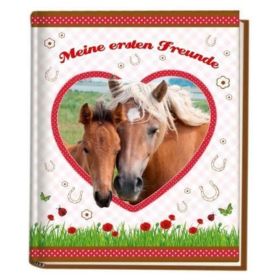 Pferde Kindergartenfreundebuch Meine ersten Freunde Buch Deutsch 2012