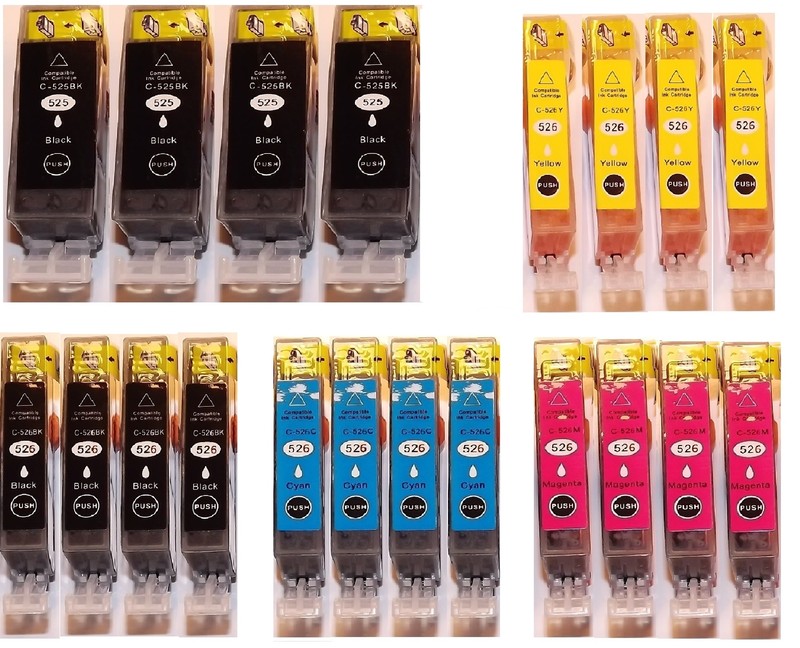 20x Druckerpatronen FÃ¼R Canon Pixma Ip4800 Ip4900 Mg5100 Mg5200 Mg5300 Mit Chip