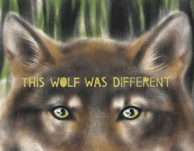 This Wolf Was Different - Slivensky, Katie (Hardcover)