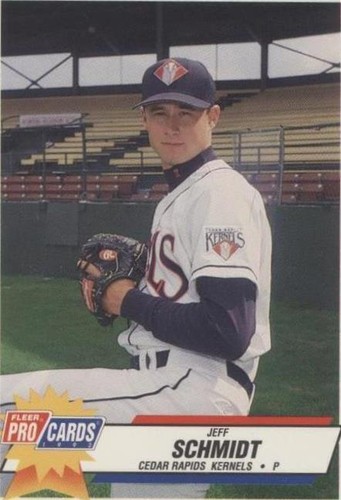 1993 Fleer Procards Louisville Redbirds 225 Jeff Shireman BXCP39