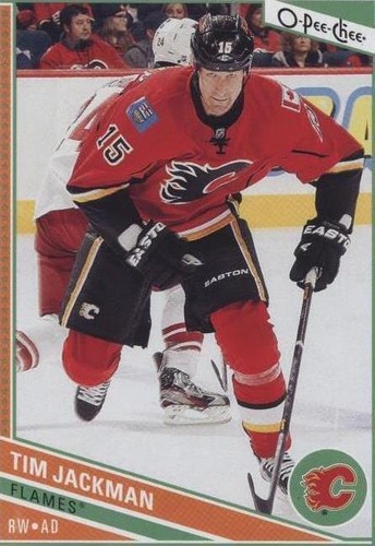 2013-14 O-Pee-Chee - Tim Jackman #353