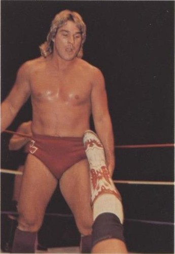 1988 Wonderama NWA - Terry Taylor #22