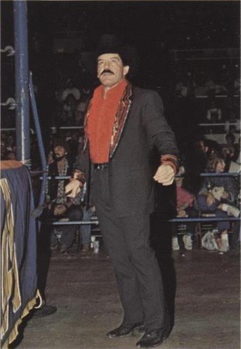 1988 Wonderama NWA - Paul Jones #129