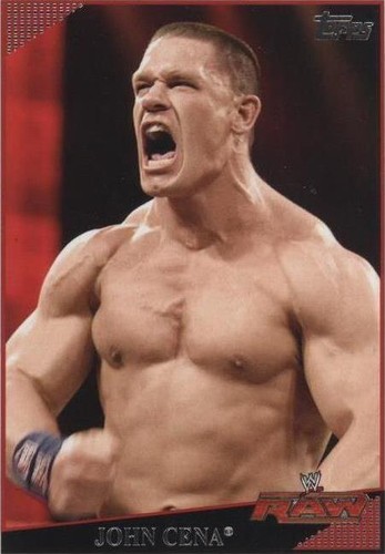 WWE LIVE IN JAPAN 2005 DVD Batista John Cena Tajiri Exclusive