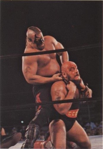 1988 Wonderama NWA - Ivan Koloff Road Warrior Animal #170