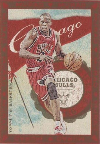 2008-09 Topps T-51 Murad - Luol Deng #42