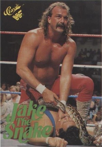 1989 Classic WWF - Jake "The Snake" Roberts #108