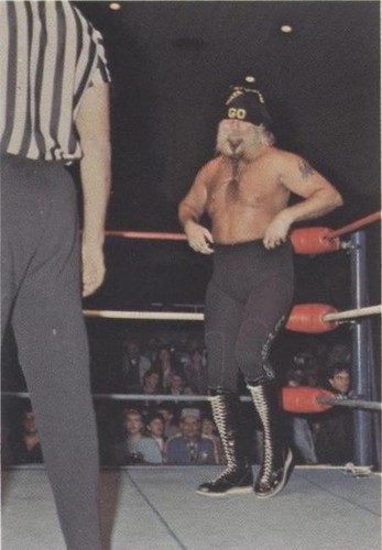 1988 Wonderama NWA - Jimmy Valiant #113