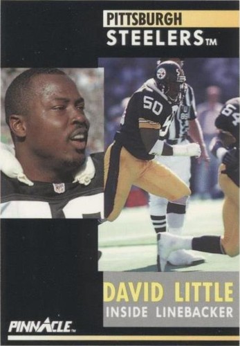 1991 Pinnacle David Little #192
