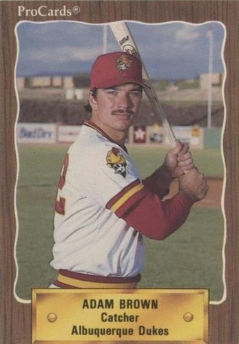 1990 ProCards Minor League - Adam Brown #347