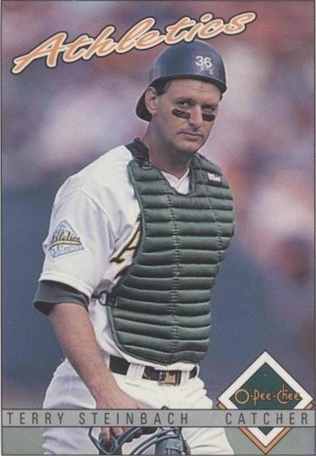 1993 O-Pee-Chee - Terry Steinbach #268