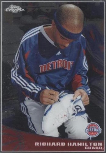 2009-10 Topps - Richard Hamilton #29