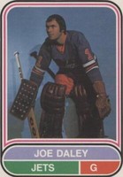 1975-76 O-Pee-Chee WHA - Joe Daley #101