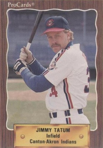 1990 ProCards Minor League - Jim Tatum #1302