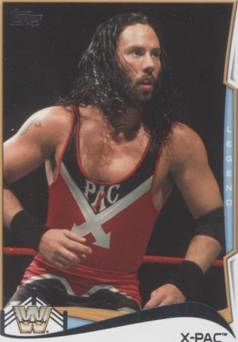 2014 Topps WWE - 1-2-3 Kid #110