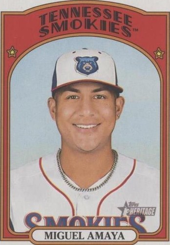 2021 Topps Heritage Minor League Edition - Miguel Amaya #137