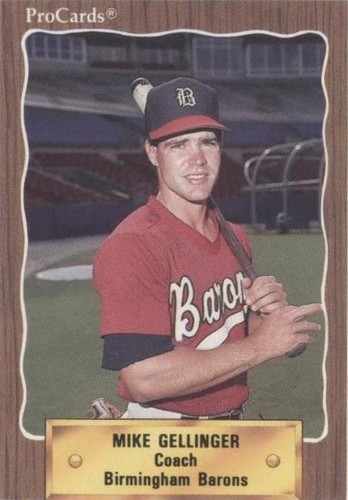 1990 ProCards Minor League - Mike Gellinger #1400