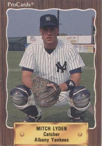 1990 ProCards Minor League - Mitch Lyden #1037
