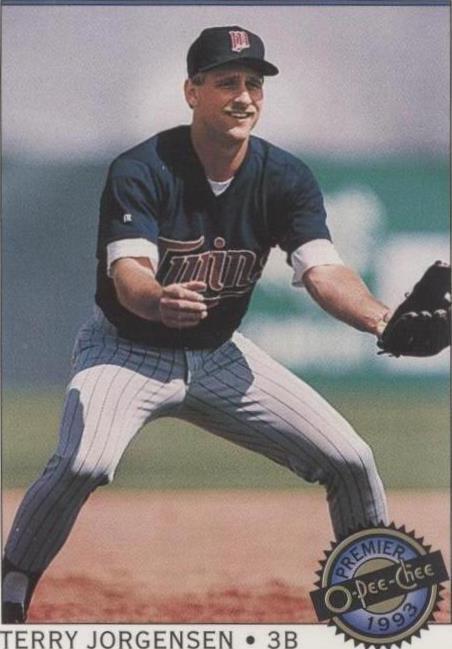 1993 O-Pee-Chee Premier - Terry Jorgensen #106