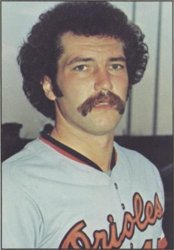 1976 SSPC - Wayne Garland #376