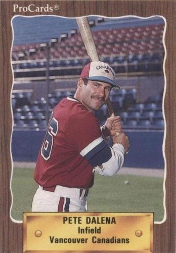 1990 ProCards Minor League - Pete Dalena #494