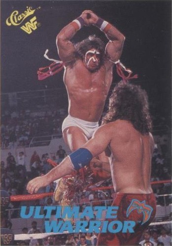 Vintage 1990 WWF World Wrestling Federation 3