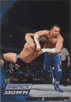 2010 Topps WWE - Matt Hardy #5