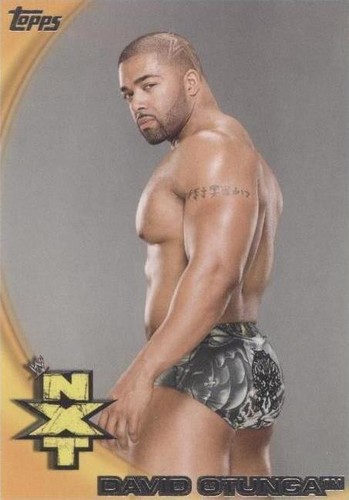 2010 Topps WWE - David Otunga #70