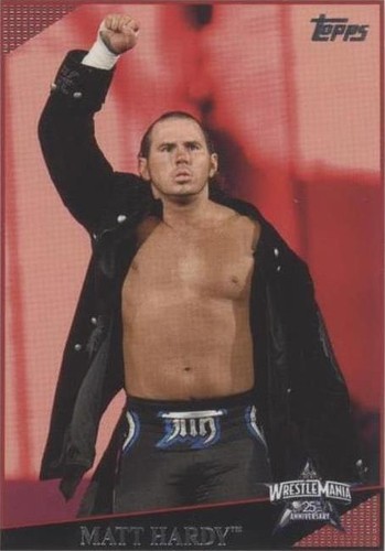 2009 Topps WWE - Matt Hardy #82