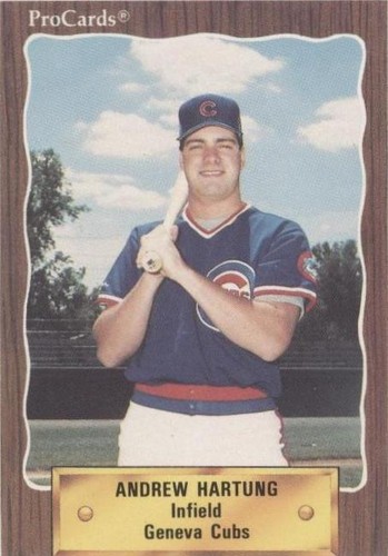 1990 ProCards Minor League - Andy Hartung #3044