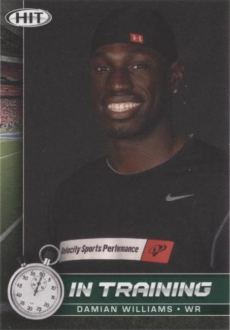 2010 SAGE Hit Damian Williams #74
