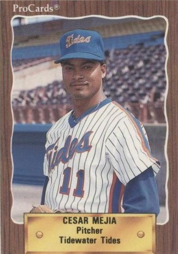 1990 ProCards Minor League - Cesar Mejia #540