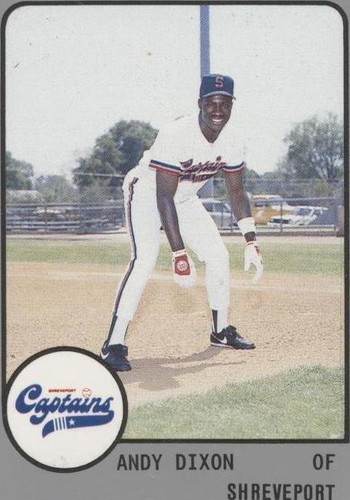 1988 ProCards Minor League - Andy Dixon #1287