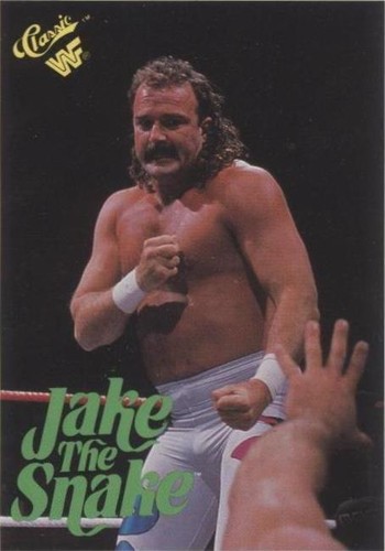 1990 Classic WWF - Jake "The Snake" Roberts #63