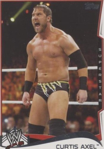 2014 Topps WWE - Michael Mcgillicutty #13